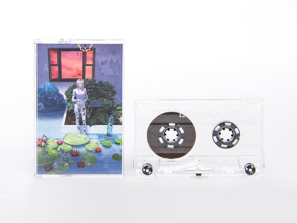 I Want The Door To Open